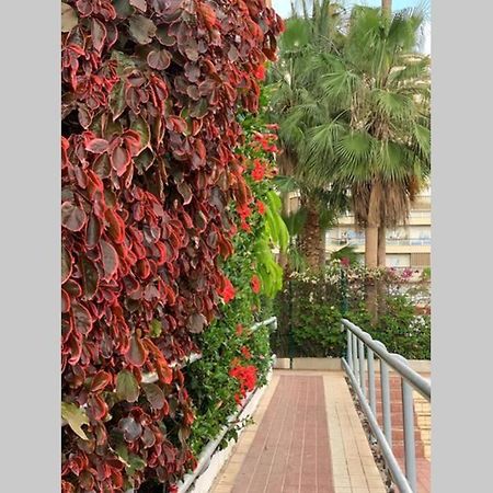 Jardines Del Sur, Ocean View Apartment Buzanada Bagian luar foto