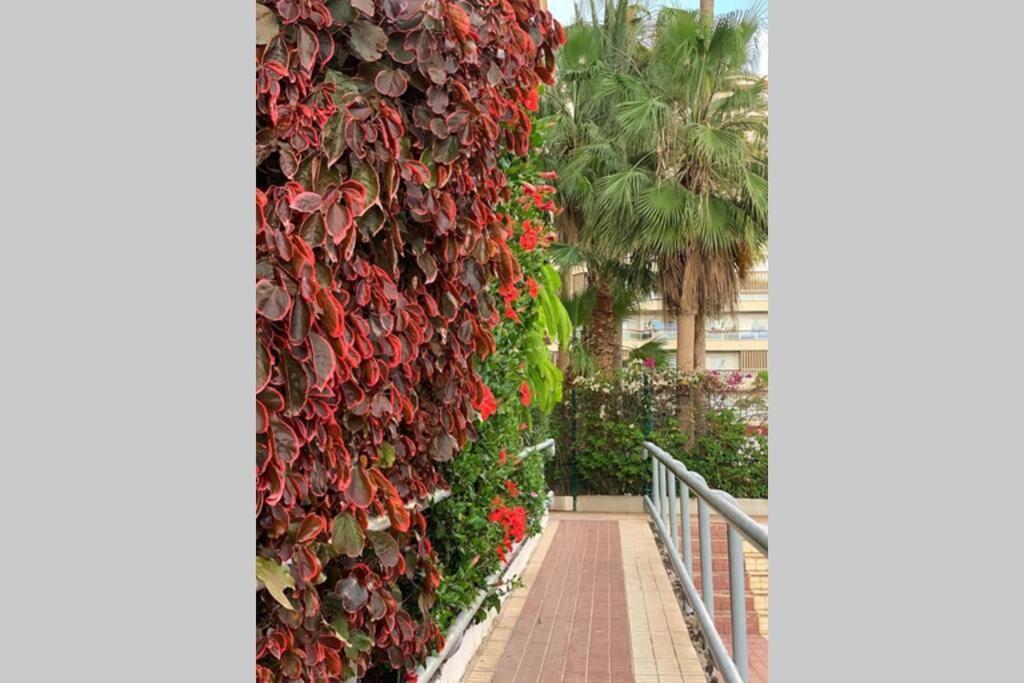 Jardines Del Sur, Ocean View Apartment Buzanada Bagian luar foto